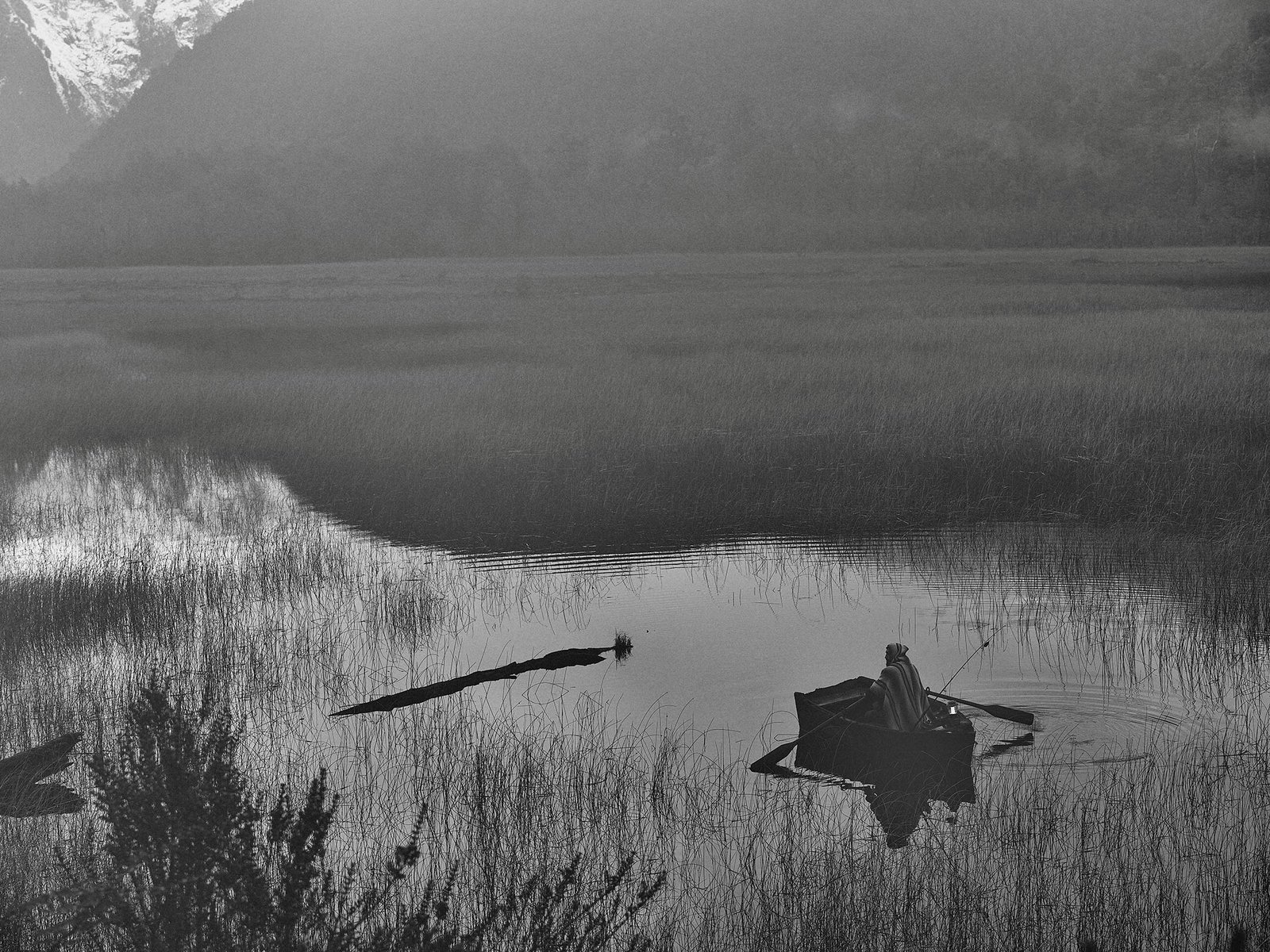 20240502__1.captured-196