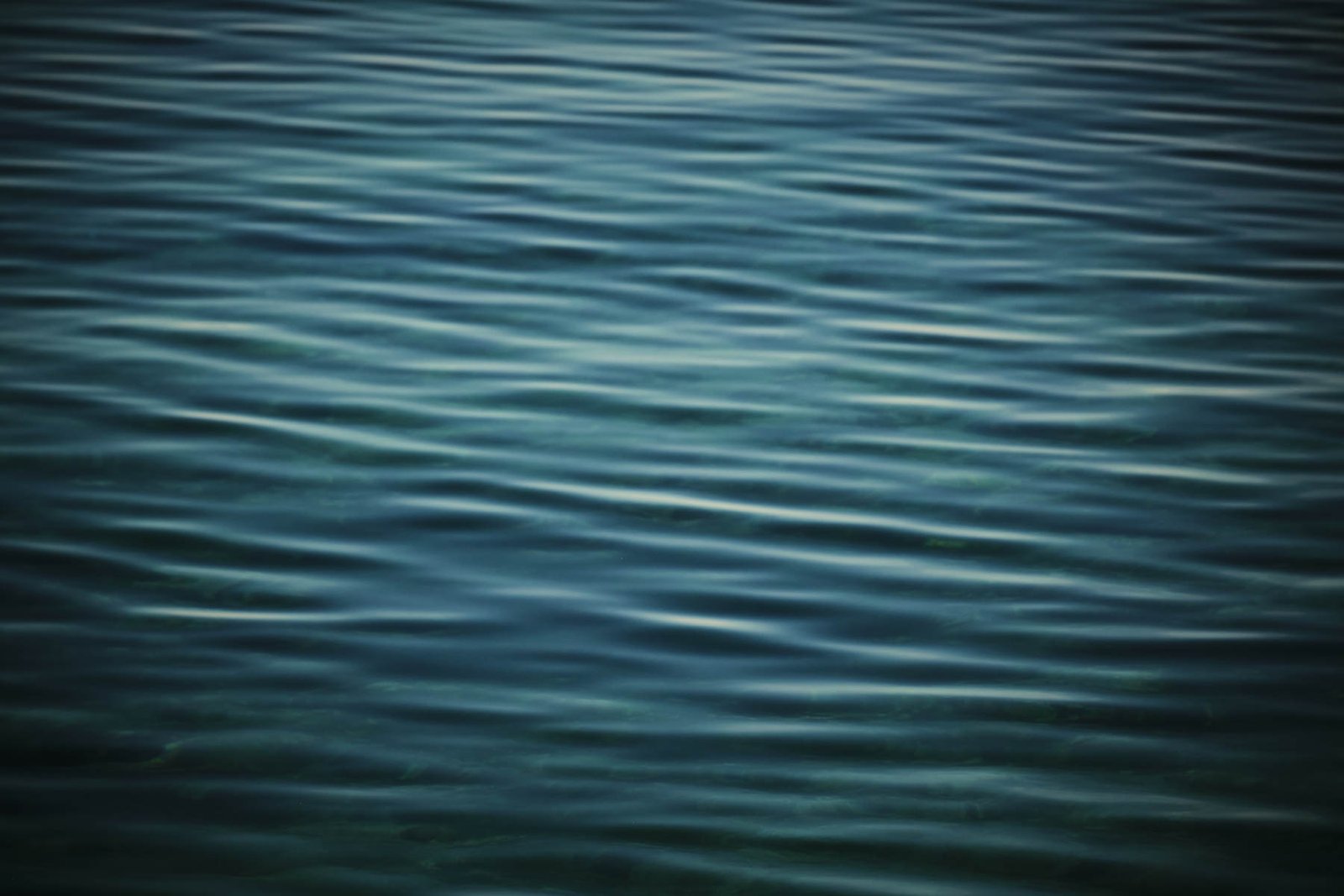 20240908_TRIP_DIA04 41