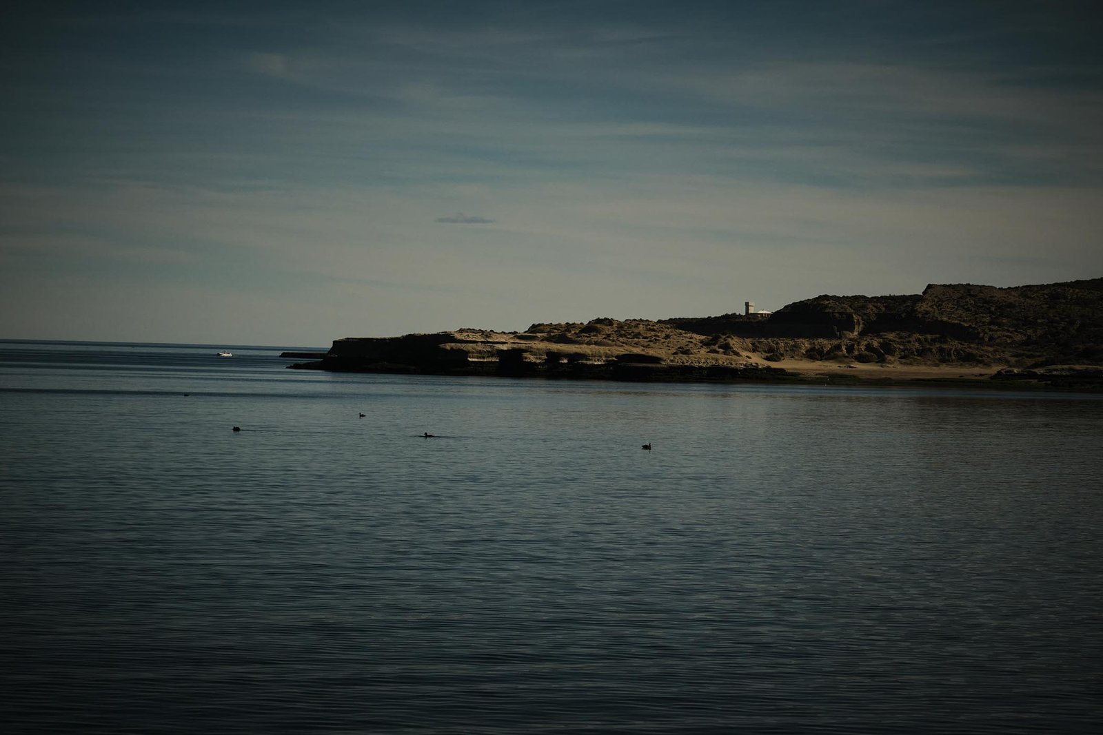 20240908_TRIP_DIA04 53